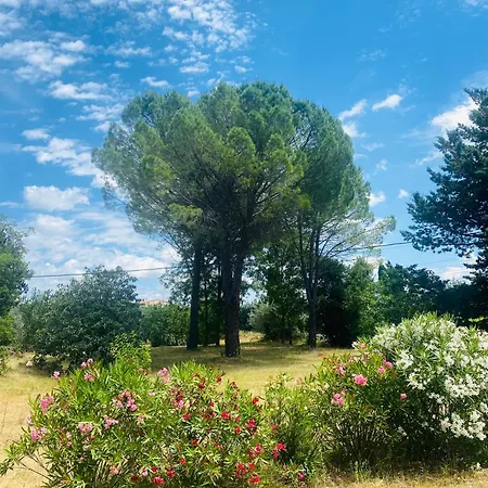 Bastide Provencale Avec Piscine Cotignac